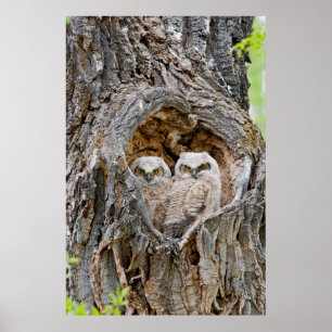 USA, Wyoming, Grand Teton National Park 2 Poster