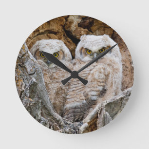 USA, Wyoming, Grand Teton National Park 2 Round Clock
