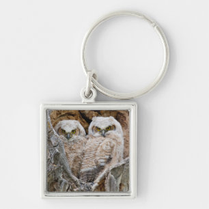 USA, Wyoming, Grand Teton National Park Key Ring