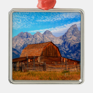 USA, Wyoming, Grand Teton National Park. Metal Tree Decoration