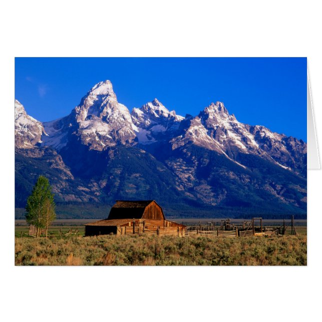 USA, Wyoming, Grand Teton National Park, Morning (Front Horizontal)
