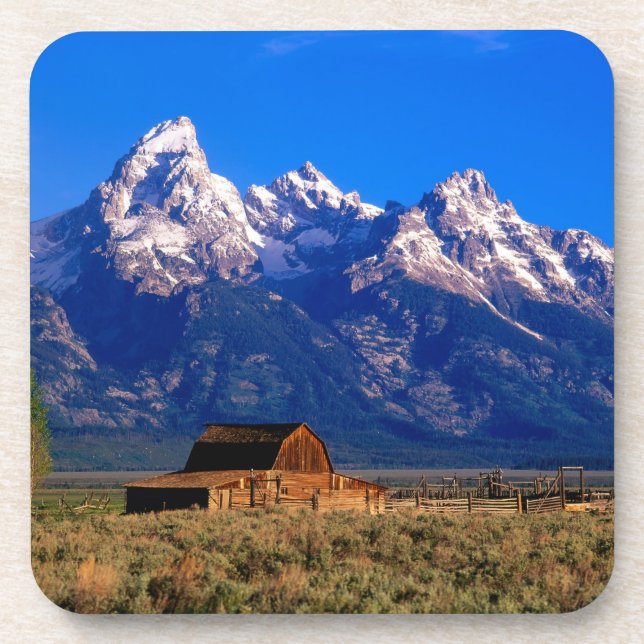 USA, Wyoming, Grand Teton National Park, Morning Coaster (Front)