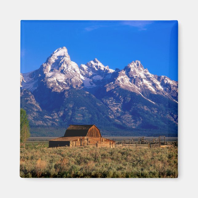 USA, Wyoming, Grand Teton National Park, Morning Magnet (Front)