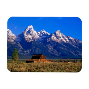 USA, Wyoming, Grand Teton National Park, Morning Magnet