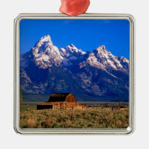 USA, Wyoming, Grand Teton National Park, Morning Metal Ornament