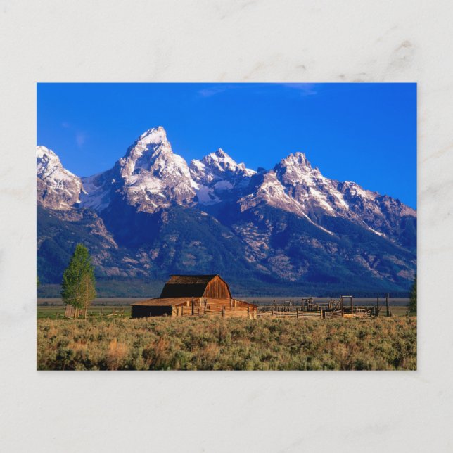 USA, Wyoming, Grand Teton National Park, Morning Postcard (Front)