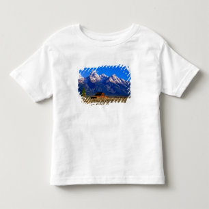 USA, Wyoming, Grand Teton National Park, Morning Toddler T-Shirt