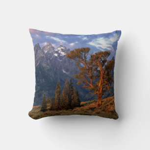 USA, Wyoming, Grand Teton NP. A lone cedar Cushion