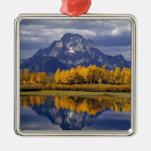 USA, Wyoming, Grand Teton NP. Against the Metal Ornament (Front)