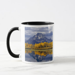 USA, Wyoming, Grand Teton NP. Against the Mug