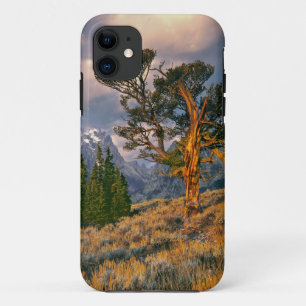 USA, Wyoming, Grand Teton NP. Sunrise greets a iPhone 11 Case