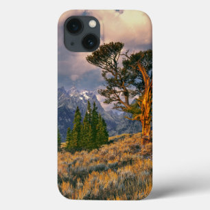 USA, Wyoming, Grand Teton NP. Sunrise greets a iPhone 13 Case