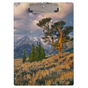 USA, Wyoming, Grand Teton NP. Sunrise greets a Clipboard