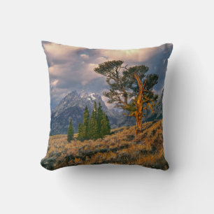 USA, Wyoming, Grand Teton NP. Sunrise greets a Cushion