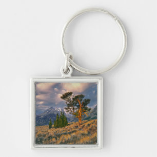 USA, Wyoming, Grand Teton NP. Sunrise greets a Key Ring