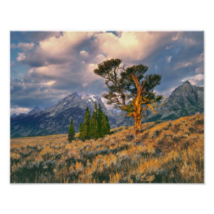 USA, Wyoming, Grand Teton NP. Sunrise greets a Photo Print