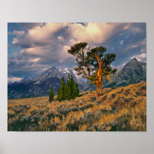 USA, Wyoming, Grand Teton NP. Sunrise greets a Poster