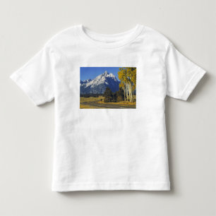 USA, Wyoming, Grand Teton NP. Teton Parkway Toddler T-Shirt