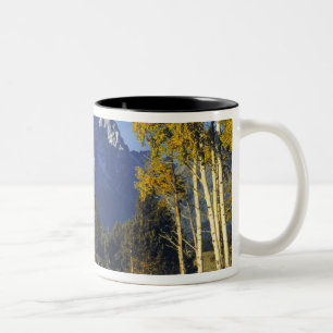 USA, Wyoming, Grand Teton NP. Teton Parkway Two-Tone Coffee Mug