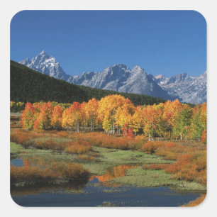 USA, Wyoming, Grand Tetons National Park in Square Sticker