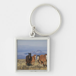 USA, Wyoming, near Cody Group of horses Key Ring