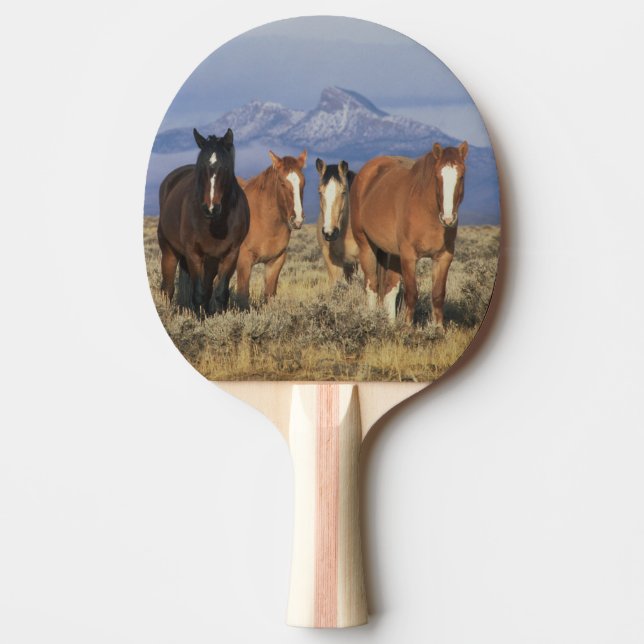 USA, Wyoming, near Cody Group of horses Ping Pong Paddle (Front)
