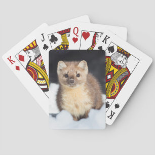 USA, Wyoming, Yellowstone National Park 2 Playing Cards