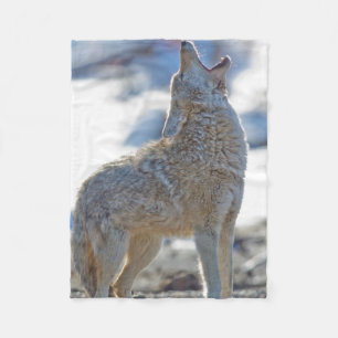 USA, Wyoming, Yellowstone National Park, Coyote Fleece Blanket