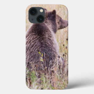USA, Wyoming, Yellowstone National Park, Grizzly 2 iPhone 13 Case