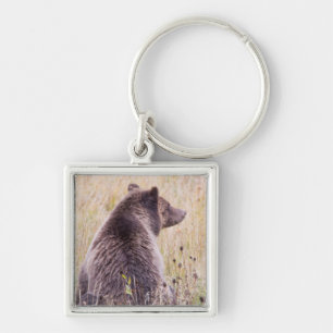 USA, Wyoming, Yellowstone National Park, Grizzly 2 Key Ring