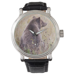 USA, Wyoming, Yellowstone National Park, Grizzly 2 Watch