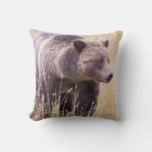 USA, Wyoming, Yellowstone National Park, Grizzly 3 Cushion