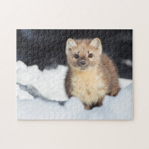 USA, Wyoming, Yellowstone National Park Jigsaw Puzzle