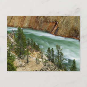 USA, Wyoming, Yellowstone National Park Postcard