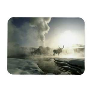 USA, Wyoming, Yellowstone National Park. Sunrise Magnet