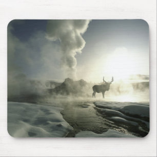USA, Wyoming, Yellowstone National Park. Sunrise Mouse Pad