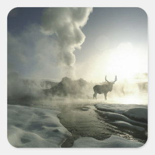 USA, Wyoming, Yellowstone National Park. Sunrise Square Sticker