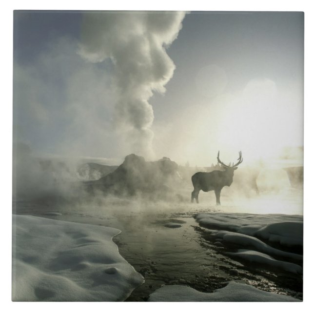 USA, Wyoming, Yellowstone National Park. Sunrise Tile (Front)