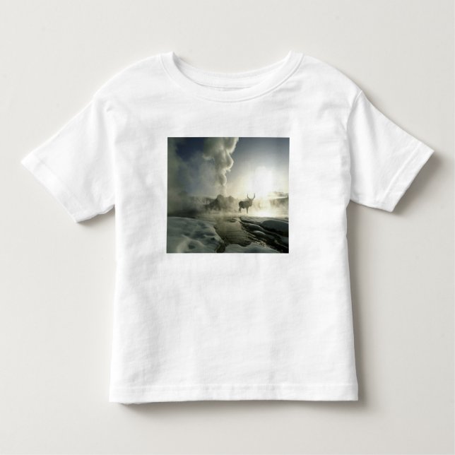 USA, Wyoming, Yellowstone National Park. Sunrise Toddler T-Shirt (Front)
