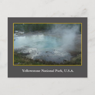 USA Yellowstone National Park Postcard