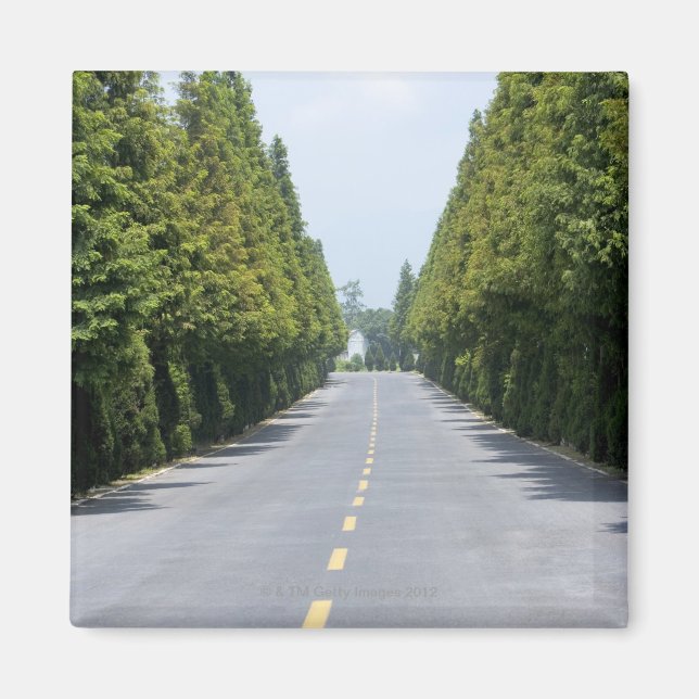 USA, Yellowstone National Park, Treelined road Magnet (Front)