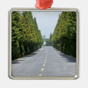 USA, Yellowstone National Park, Treelined road Metal Ornament