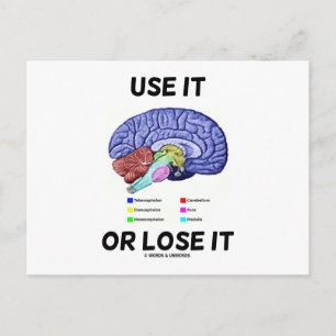 Use It Or Lose It (Brain Anatomy Humour Saying) Postcard