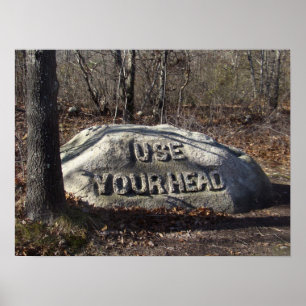 Use Your Head Babson Boulder Poster