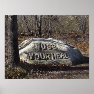 Use Your Head Babson Boulder Poster