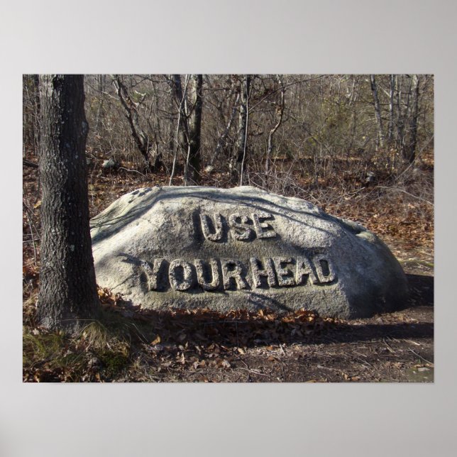 Use Your Head Babson Boulder Poster (Front)