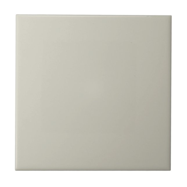 Usefully Grey Square Kitchen and Bathroom Ceramic Tile (Front)