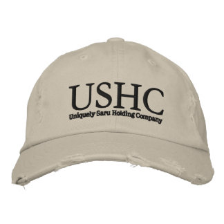 USHC Embroidered Hat, Alternative Apparel Basic Ad Hat