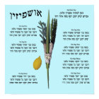 Ushpizin & Arba Minim (4 Species)