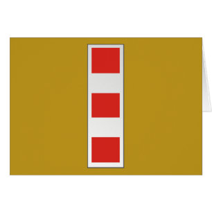 USMC  CWO4  Chief Warrant Officer 4  W-4